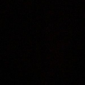 Meet your Posher, Anabelle